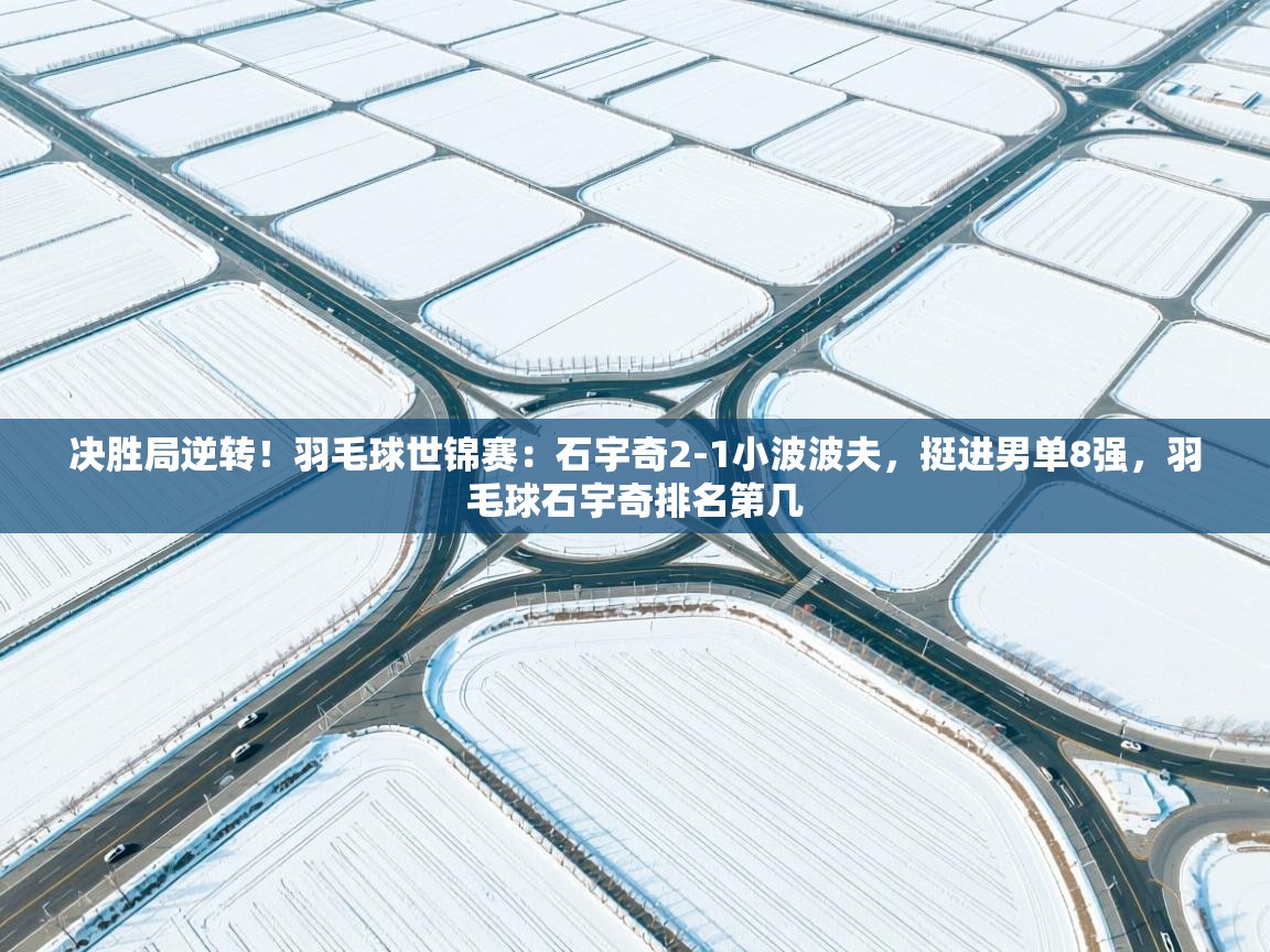 云开体育app登录入口-决胜局逆转!羽毛球世锦赛:石宇奇2-1小波波夫,挺进男单8强,羽毛球石宇奇排名第几 第2张