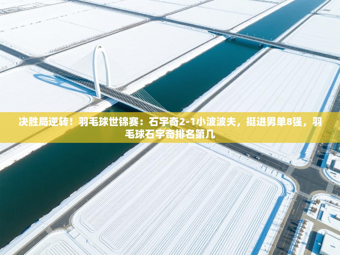 云开体育app登录入口-决胜局逆转!羽毛球世锦赛:石宇奇2-1小波波夫,挺进男单8强,羽毛球石宇奇排名第几 第3张