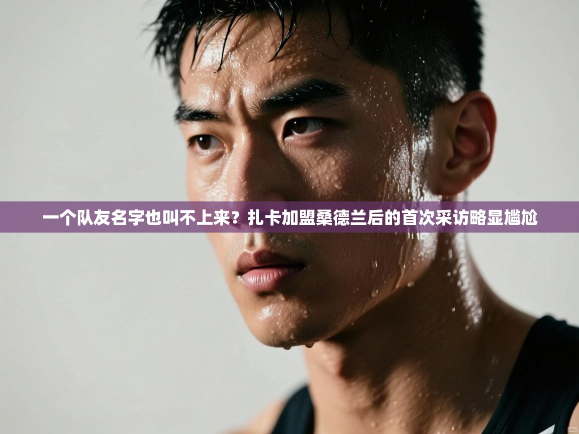 开运体育登录入口-一个队友名字也叫不上来？扎卡加盟桑德兰后的首次采访略显尴尬  第1张