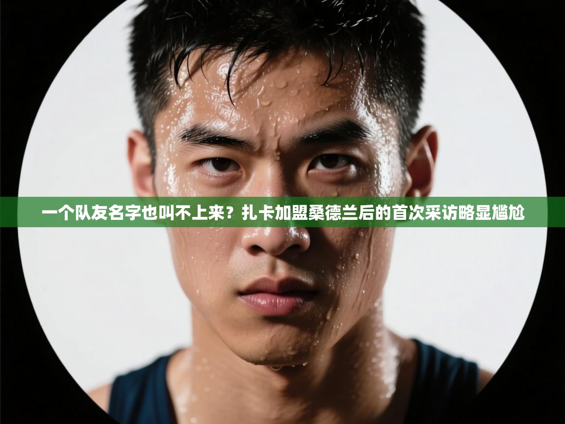 开运体育登录入口-一个队友名字也叫不上来？扎卡加盟桑德兰后的首次采访略显尴尬  第2张