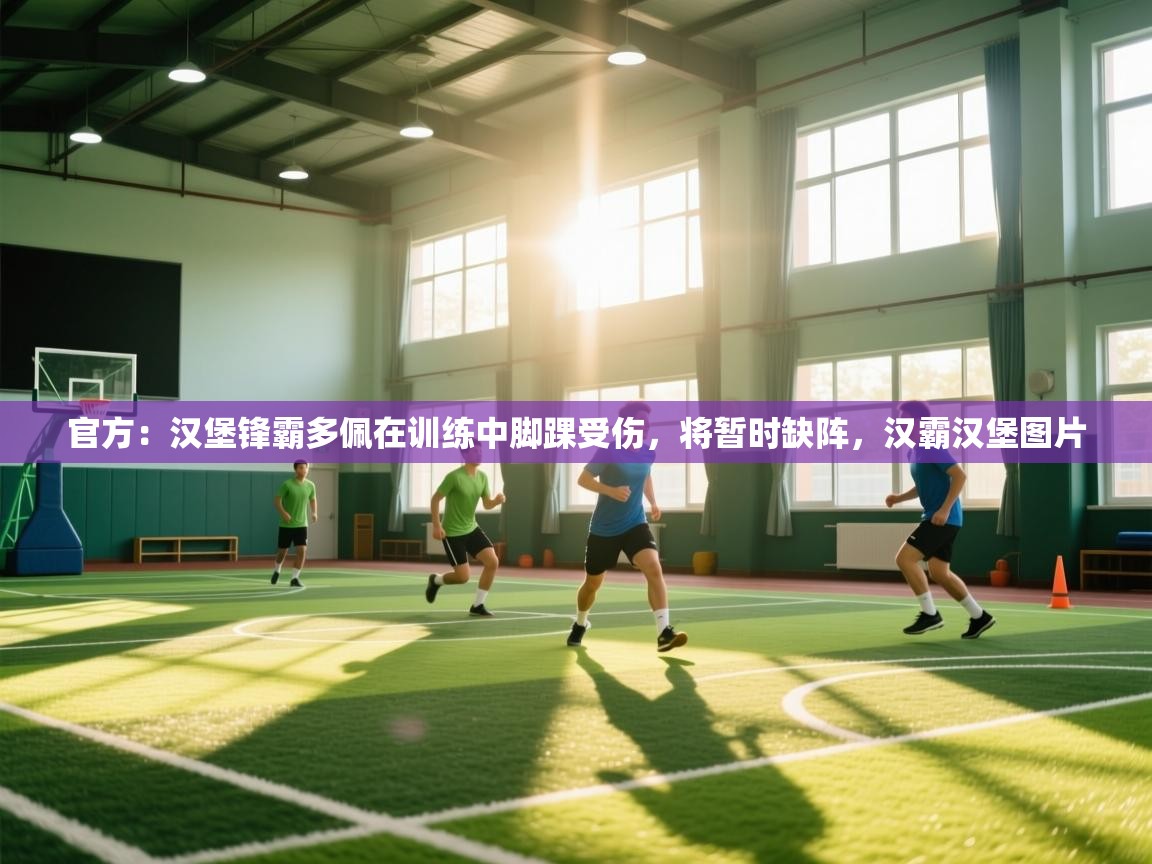 开云体育直播平台-官方:汉堡锋霸多佩在训练中脚踝受伤,将暂时缺阵,汉霸汉堡图片 第4张