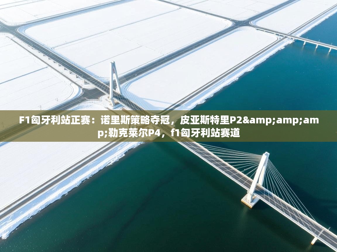 开云体育视频直播低延迟-F1匈牙利站正赛:诺里斯策略夺冠,皮亚斯特里P2&勒克莱尔P4,f1匈牙利站赛道 第1张