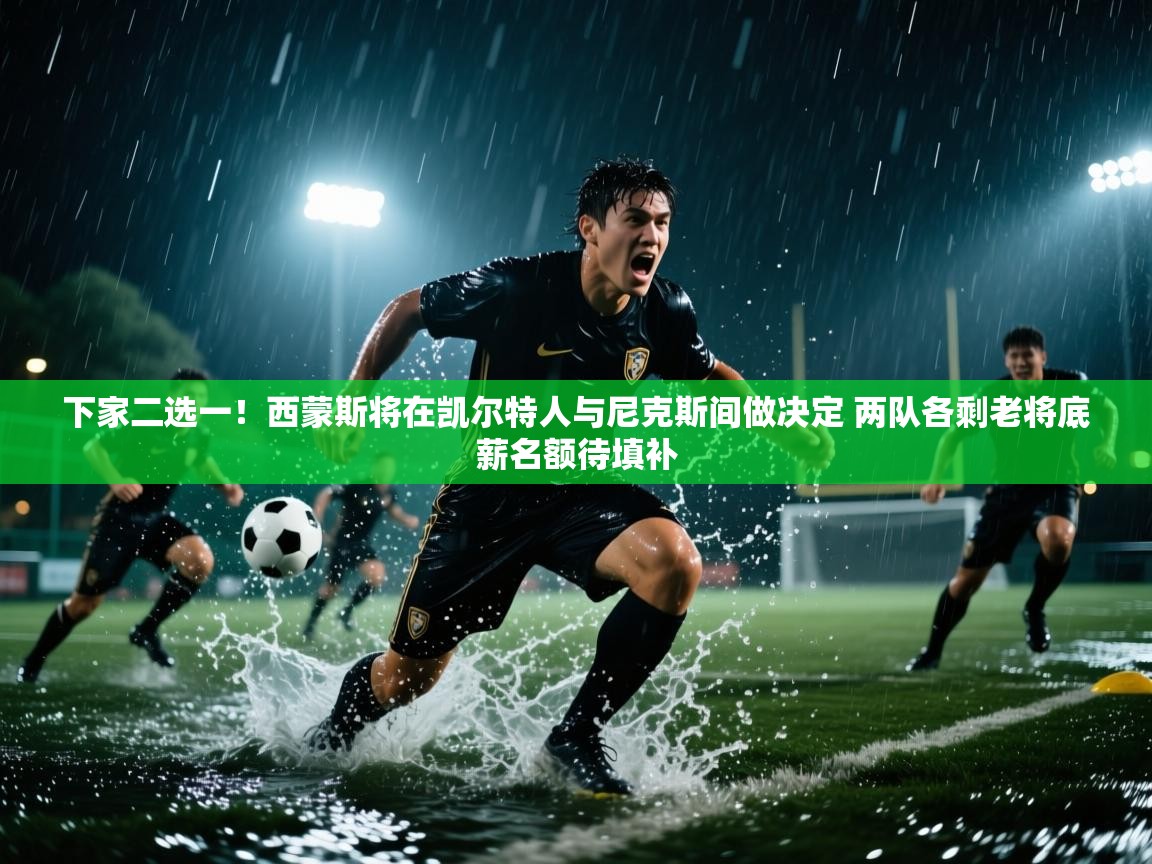 开云体育app下载-下家二选一！西蒙斯将在凯尔特人与尼克斯间做决定 两队各剩老将底薪名额待填补  第1张