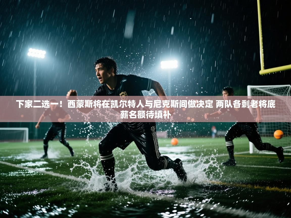 开云体育app下载-下家二选一！西蒙斯将在凯尔特人与尼克斯间做决定 两队各剩老将底薪名额待填补  第4张