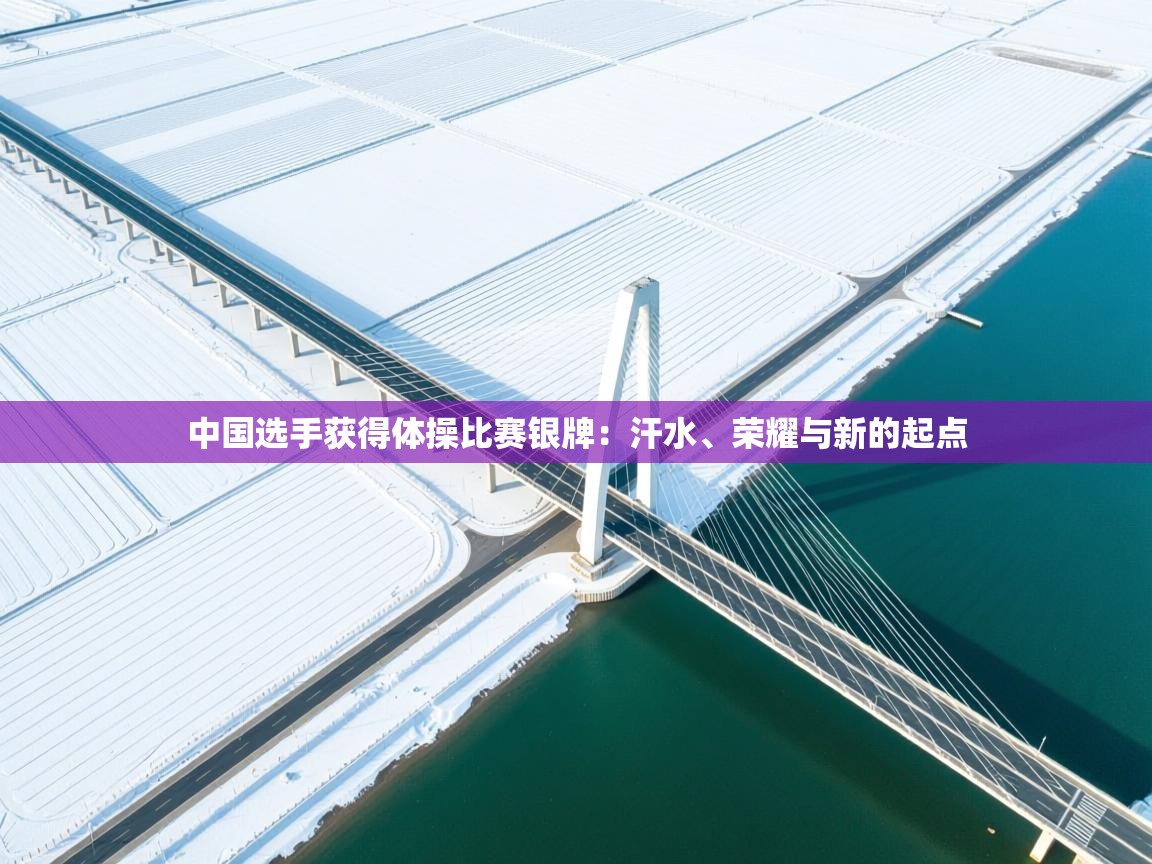 开云体育入口注册-中国选手获得体操比赛银牌：汗水、荣耀与新的起点