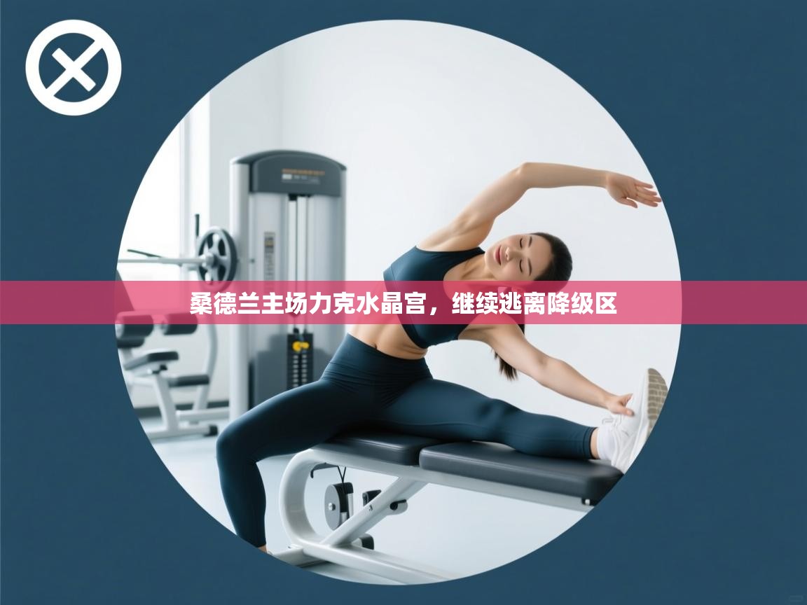 云开体育app官网入口-桑德兰主场力克水晶宫，继续逃离降级区  第3张