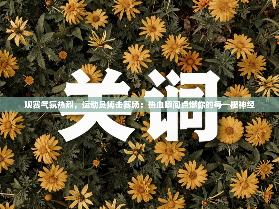 开云体育账号申诉通道-观赛气氛热烈，运动员搏击赛场：热血瞬间点燃你的每一根神经  第4张