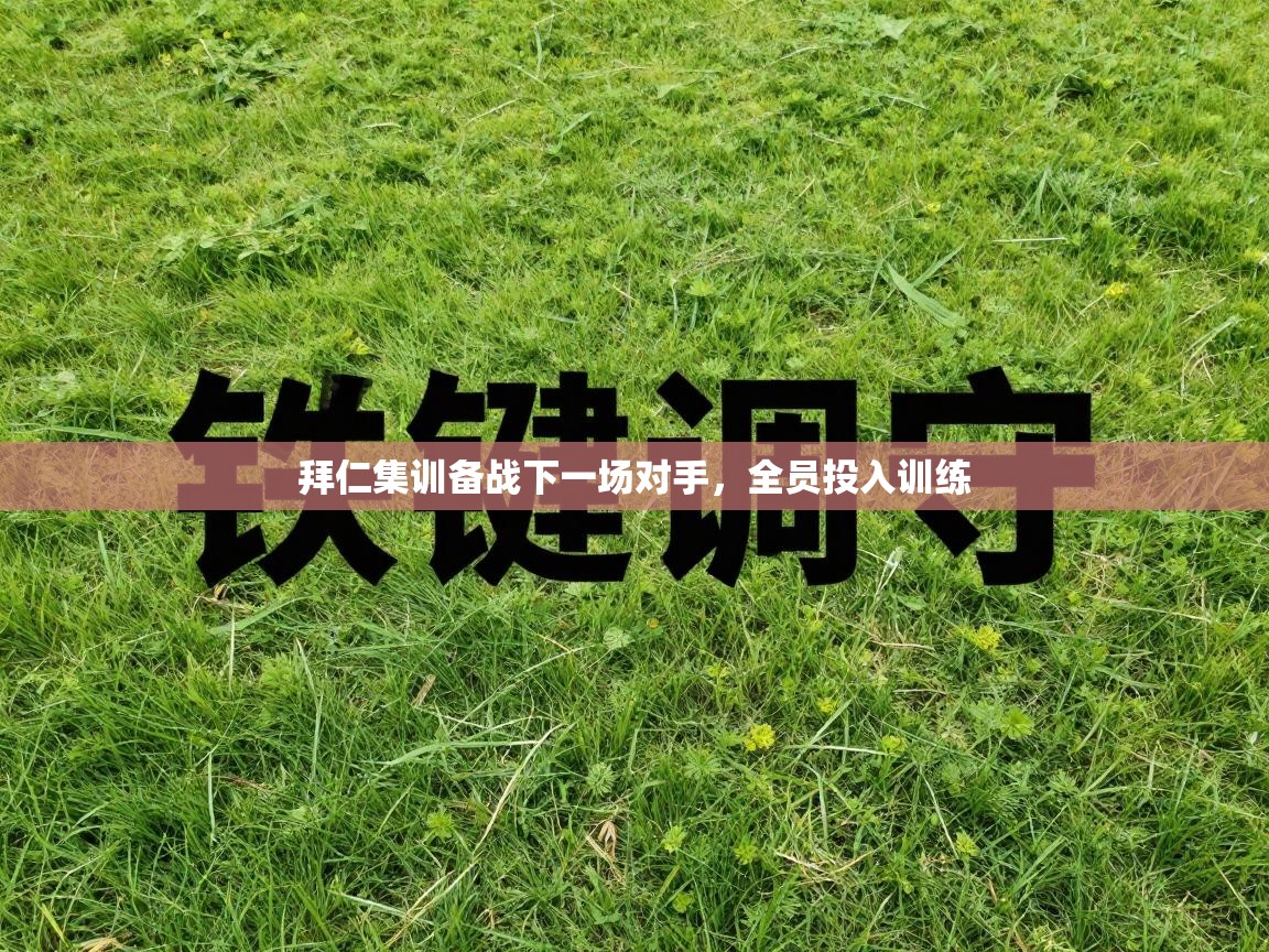 开云体育iOS安装教程-拜仁集训备战下一场对手,全员投入训练 第4张